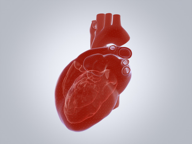 penyakit jantung bawaan