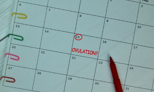 Apa itu ovulasi