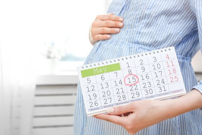 kalkulator kehamilan, diary bunda