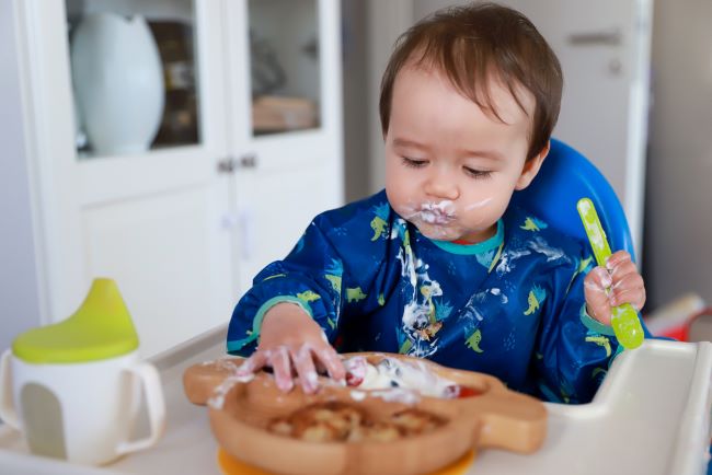 tekstur makanan bayi 9 bulan, diary bunda